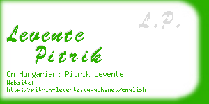 levente pitrik business card